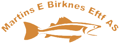 martinsebirkneseftfas