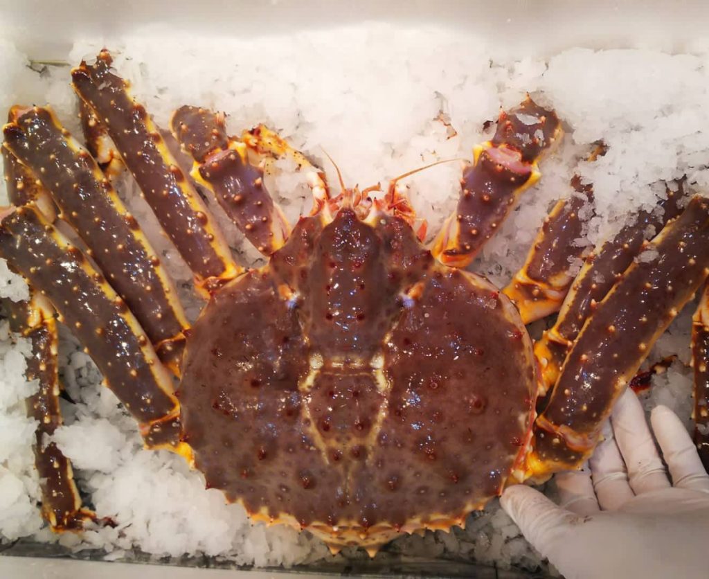 live king crab for sale